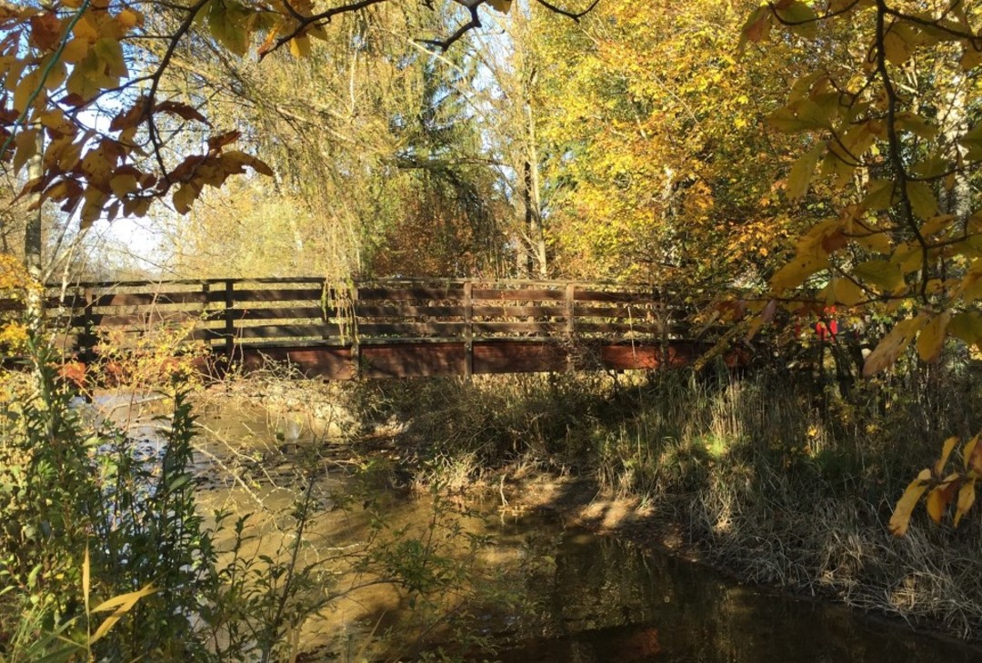 Autumn at the lake