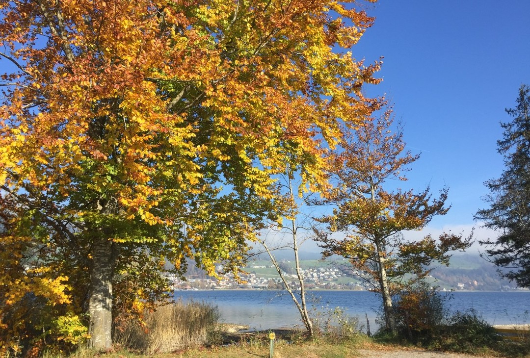 Autumn on the campsite