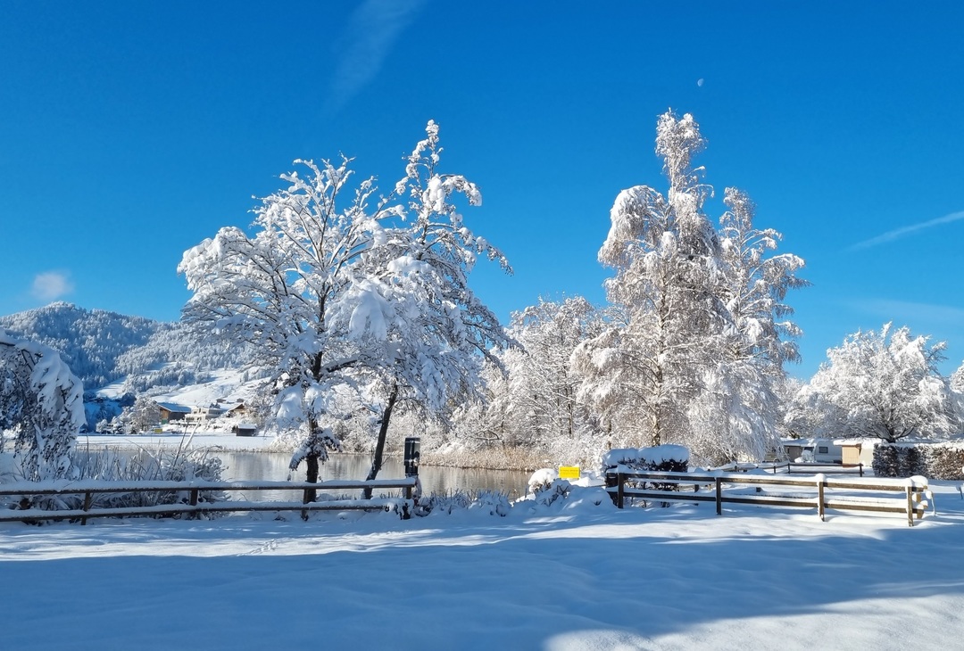 Winter landscape