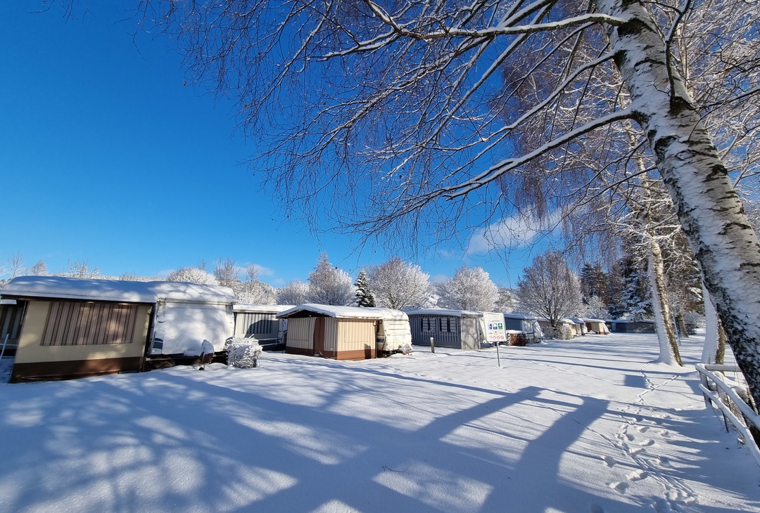 Winter morning