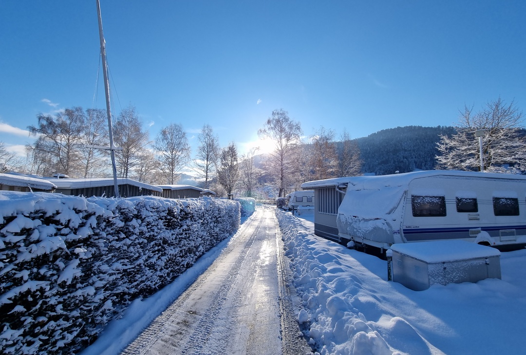 Snowy grounds